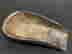 item-128400034=4