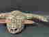 item-130882627=4