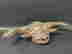 item-130882627=7