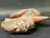 item-130942690=4