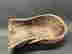 item-131901832=6