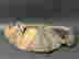 item-131926942=5