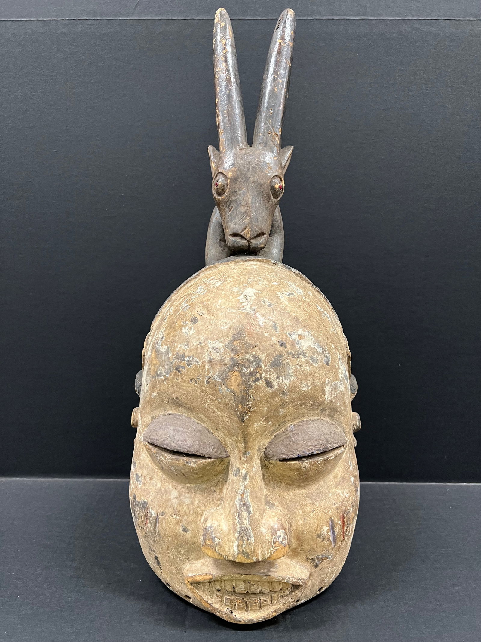 Suku Helmet Mask: African Tribal Art Suku Helmet Mask. The dimension is 21 inches high x 12 inches wide. Please be aware that some of the items are vintage, secondhand, old ages, antiques and may have a defects or sign