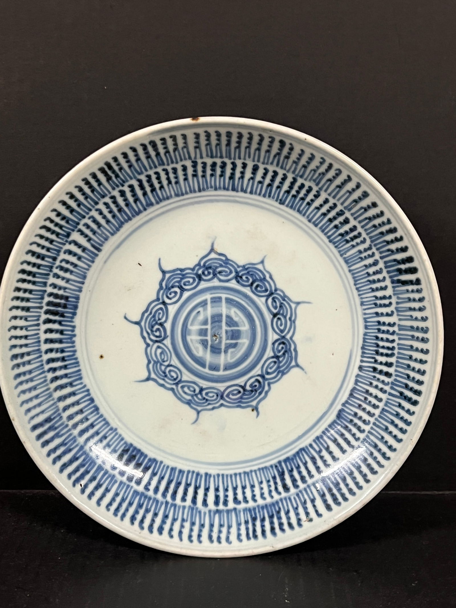 Porcelain Blue and White Plate (1 of 9)