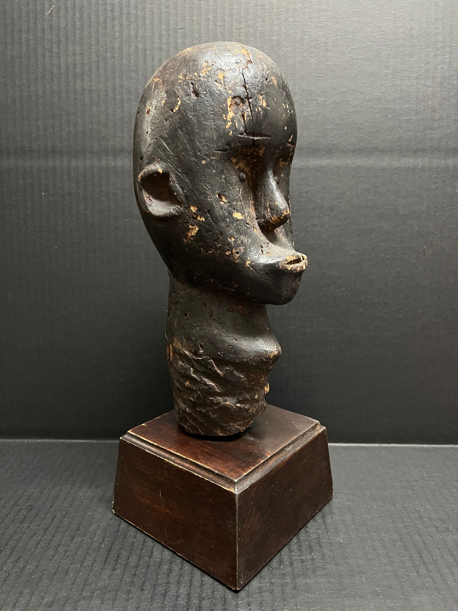 Fang Head with Stand - 3