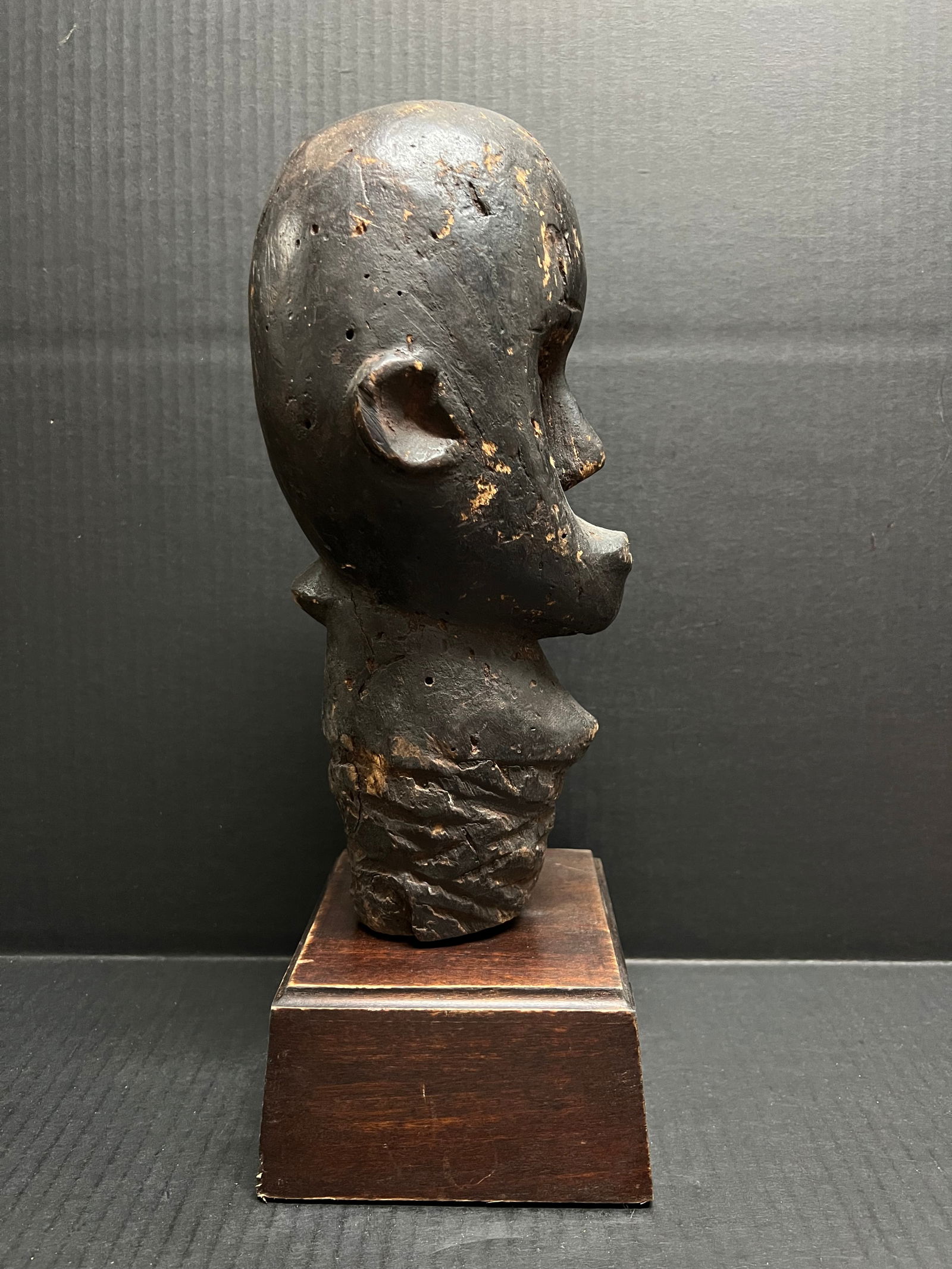 Fang Head with Stand - 4