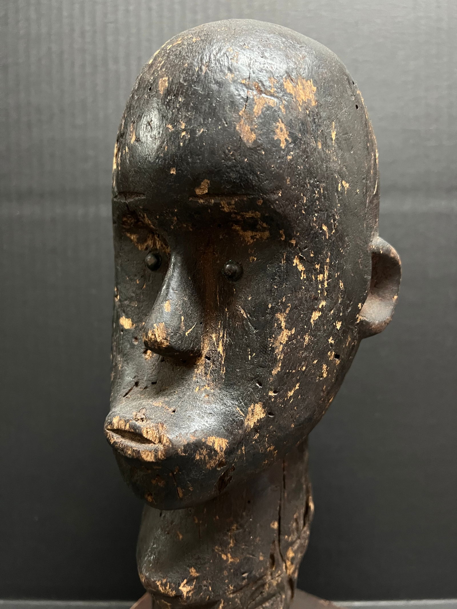 Fang Head with Stand - 6