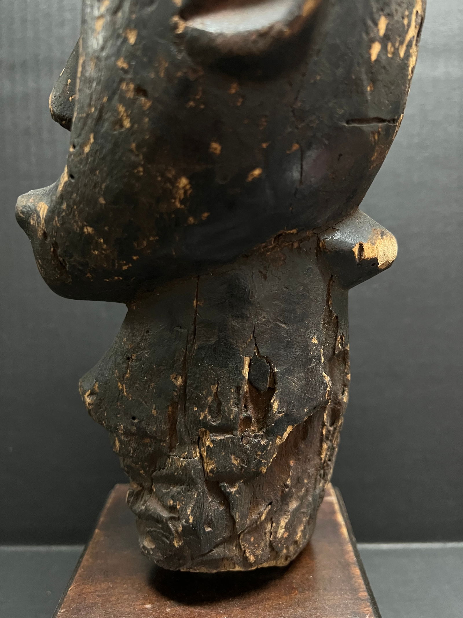 Fang Head with Stand - 7