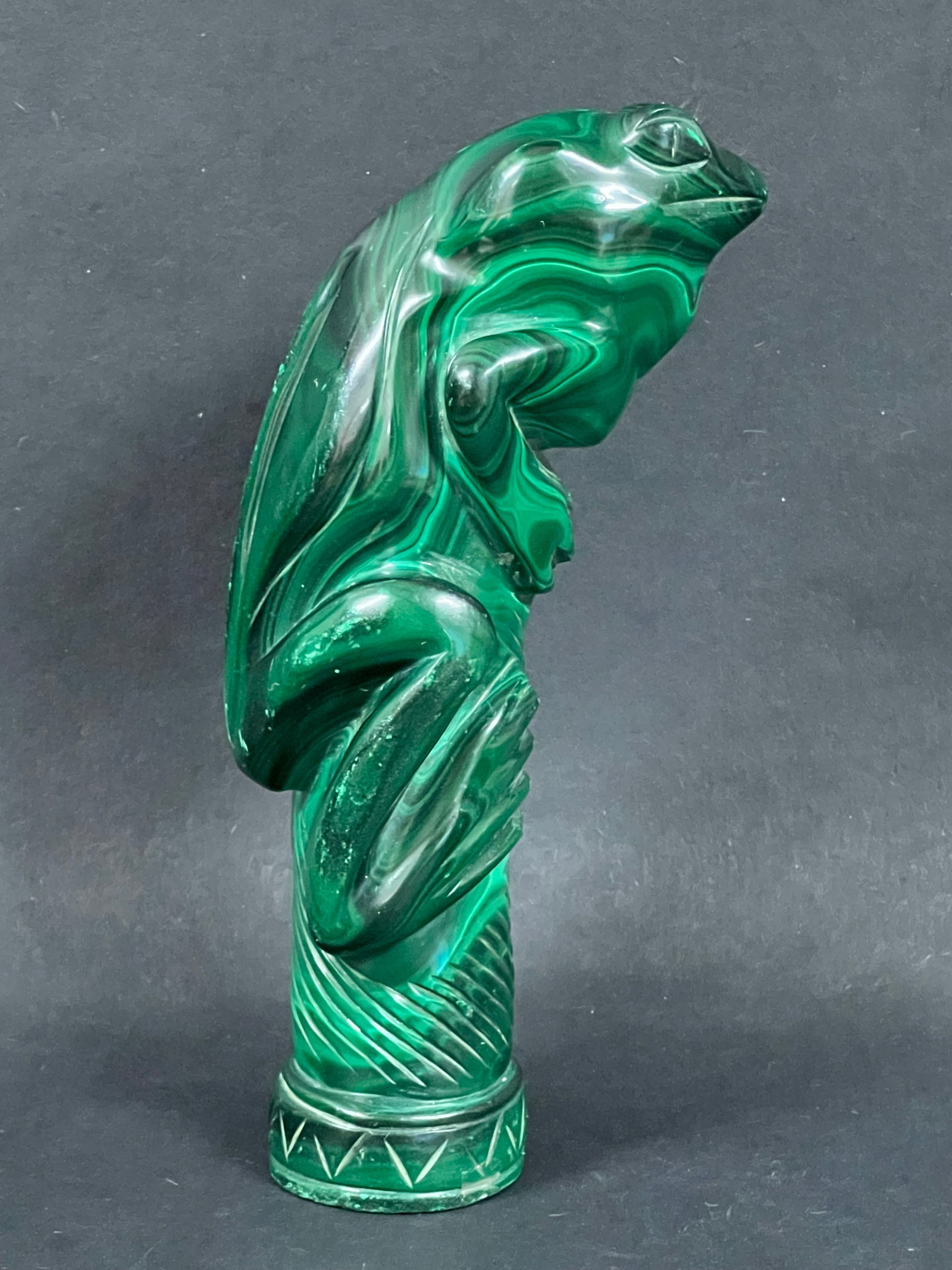 Malachite Frog - 3