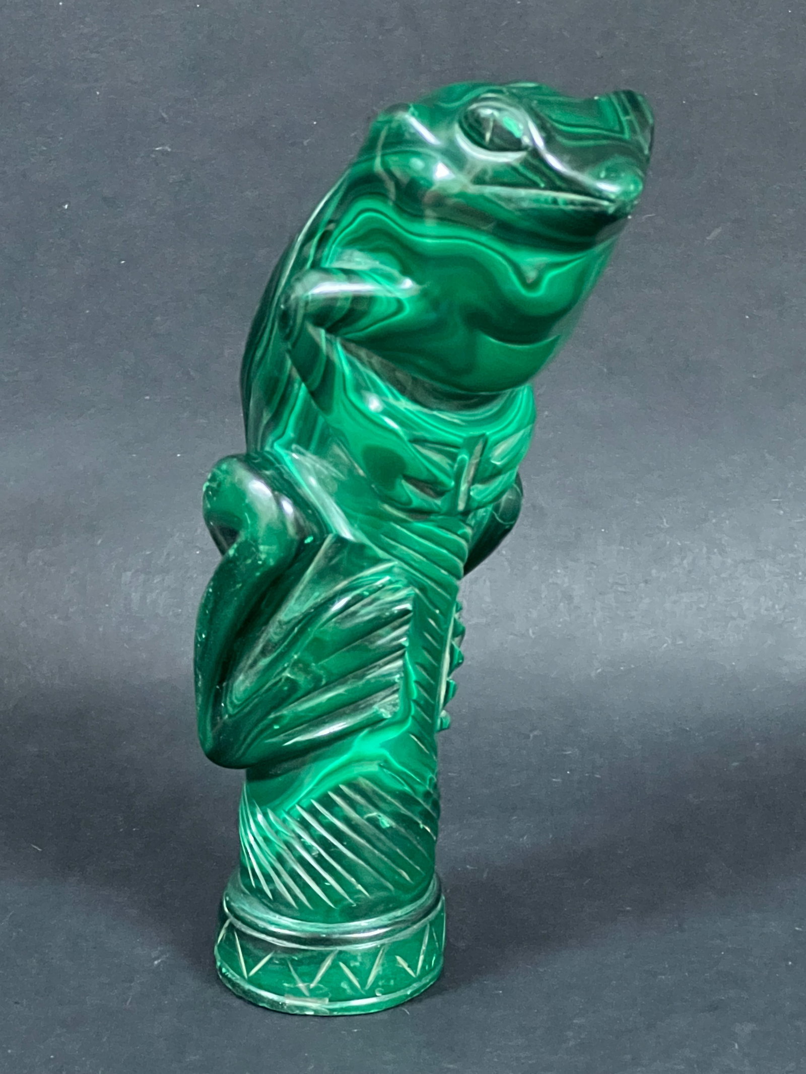 Malachite Frog - 5