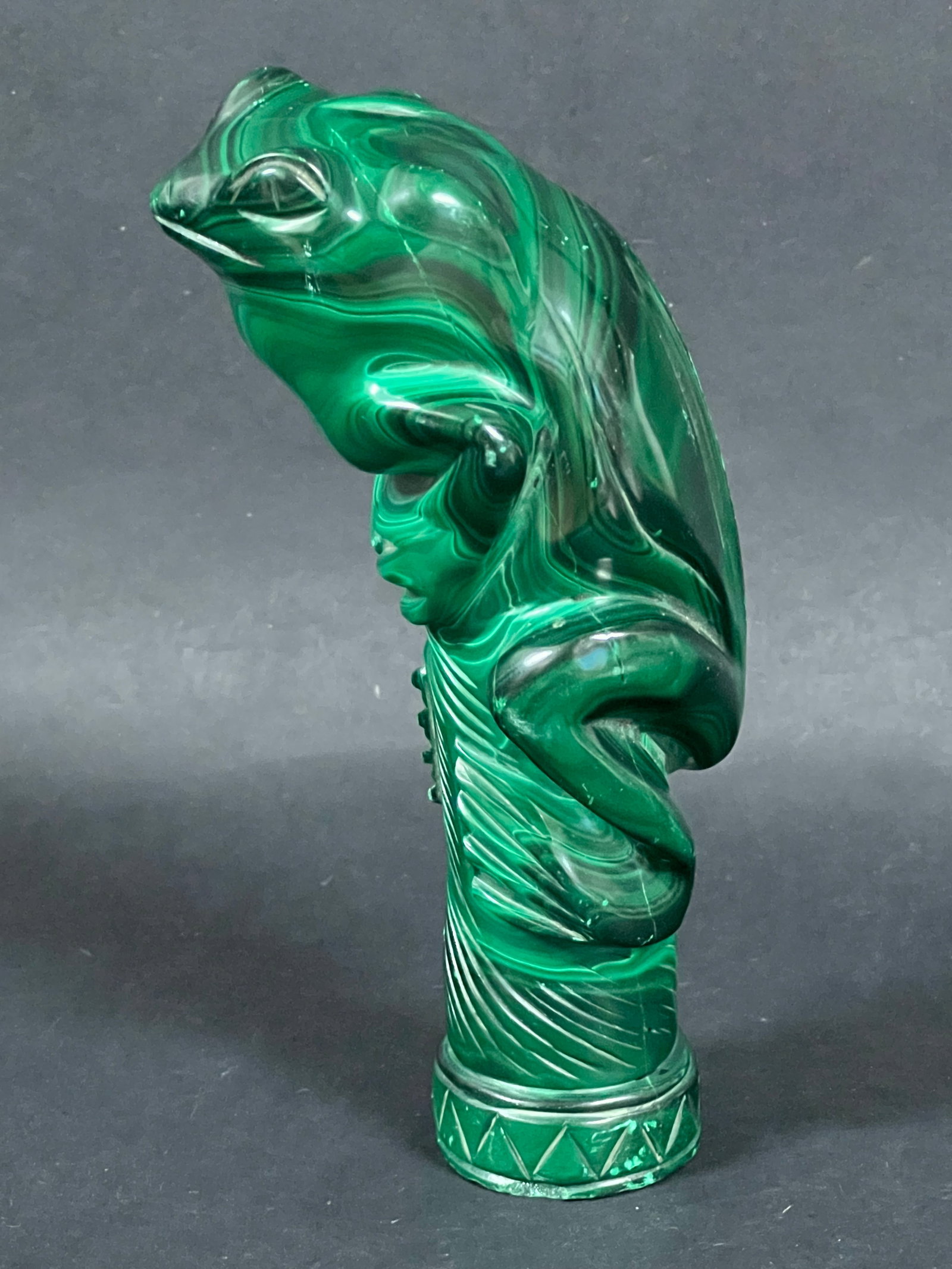 Malachite Frog - 6