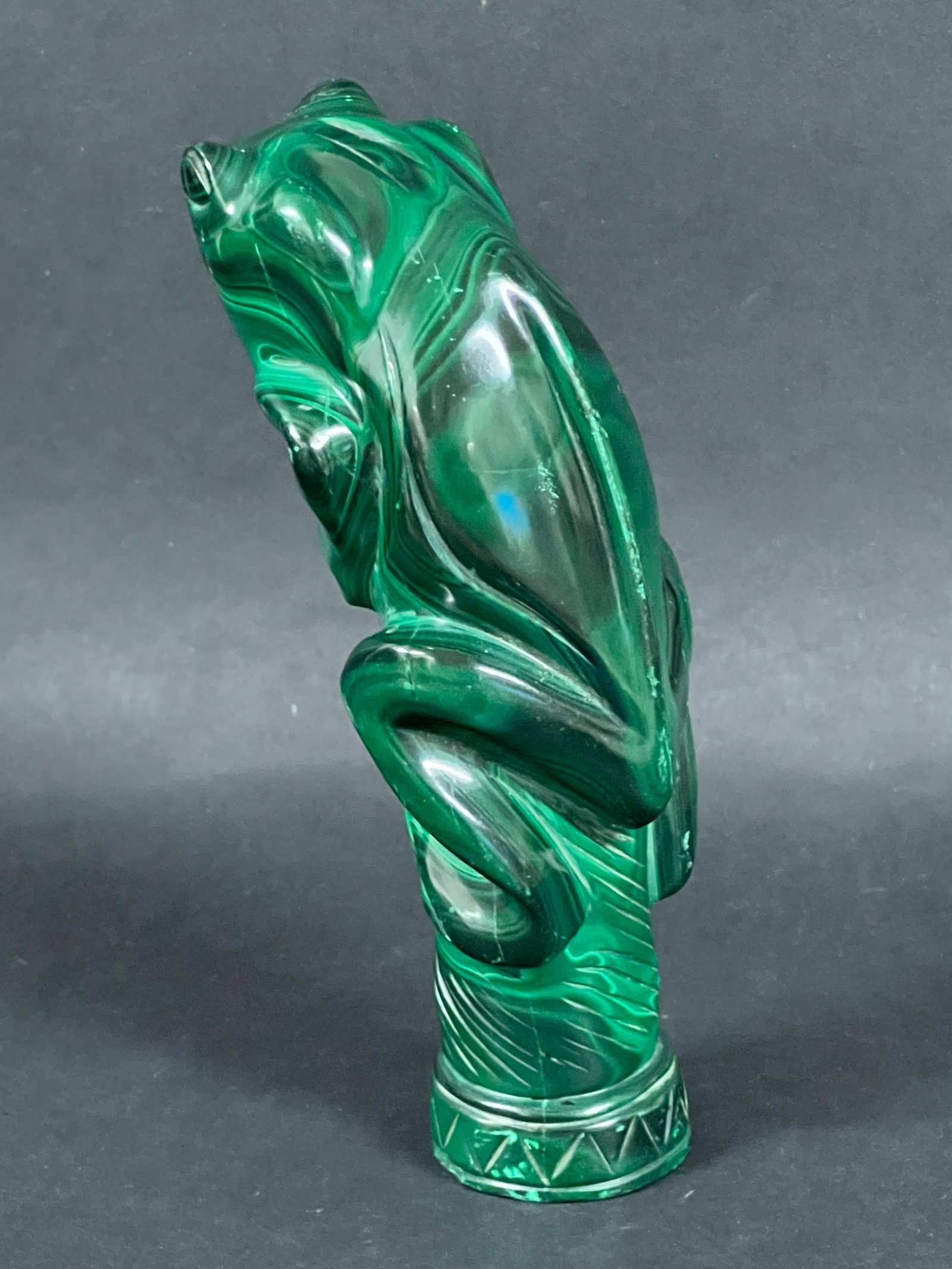 Malachite Frog - 7