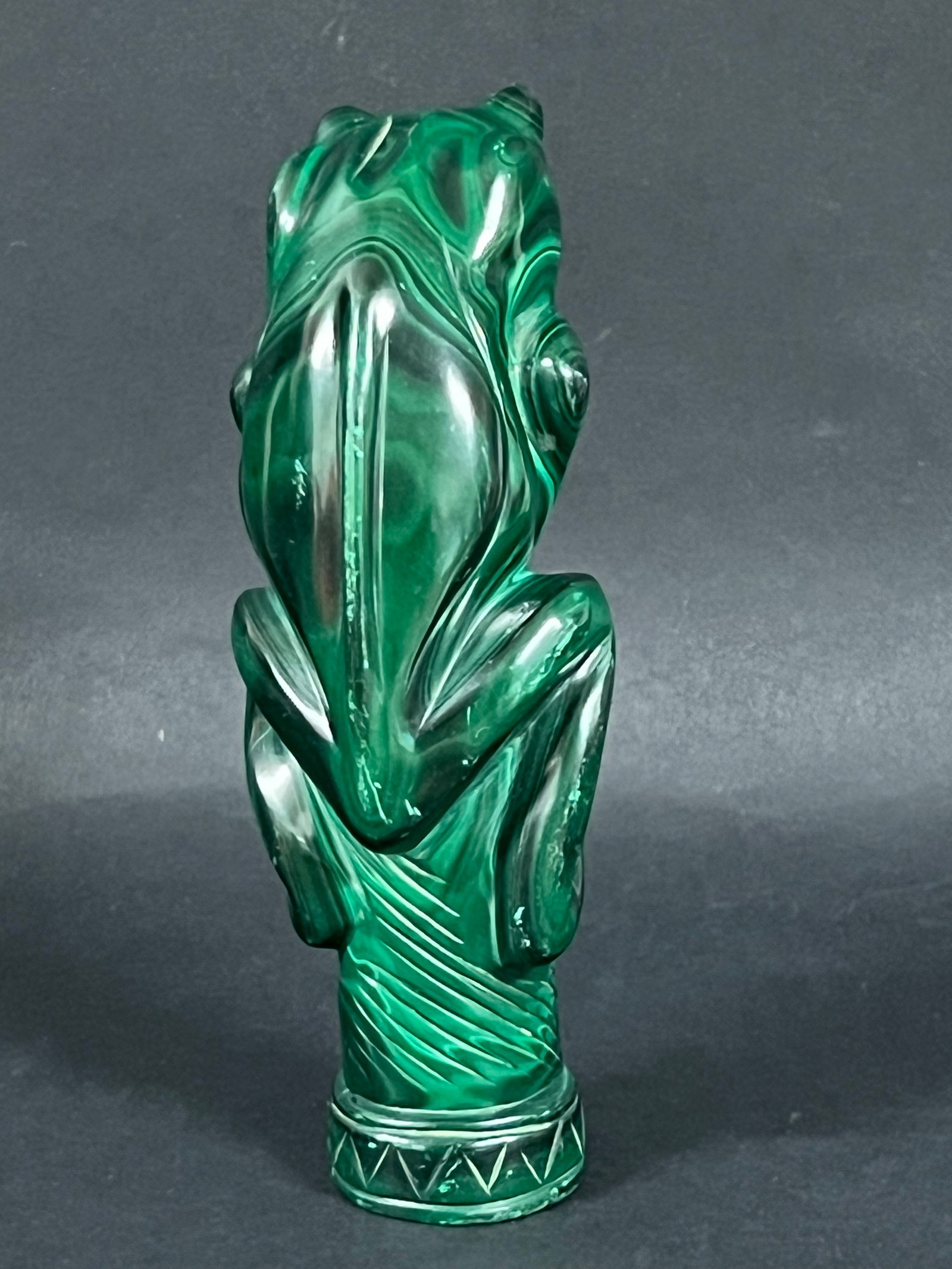 Malachite Frog - 8