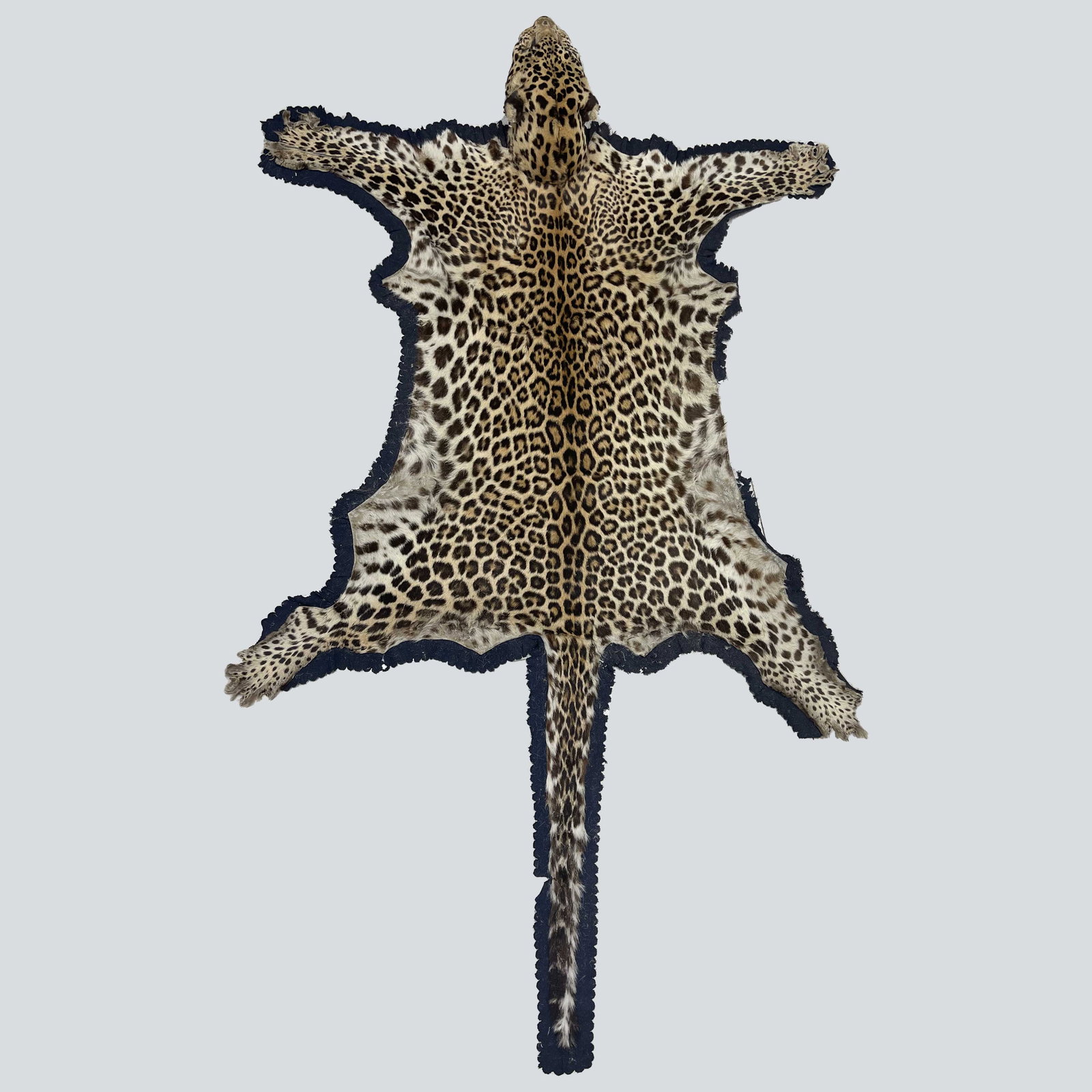 Leopard Skin Decor (1 of 4)