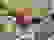 item-60491448=7