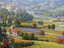 MASSIVE YOON CHUNG (b1949) LANDSCAPE OIL PAINTING - 2