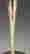 item-63173808=3