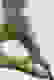 item-65078083=6
