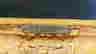 item-69504980=3