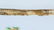 FINE 19TH.C CHINESE ROSE MEDALLION LONG PLATTER - 8