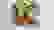 item-74155186=2