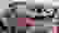 item-74155186=4