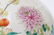 CHINESE HONGXIAN FAMILLE ROSE PORCELAIN VASE - 2