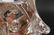 Pr ST LOUIS FRENCH CRYSTAL TWIST FORM CANDLEHOLDER - 3