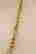 item-76895074=2