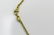 18KT Y.GOLD JUDITH RIPKA HEART & DIAMOND NECKLACE - 5