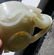 MING WHITE JADE CHILONG DRAGONS HANDLED CUP - 18