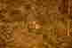 item-85284143=10