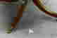 item-85405097=5