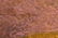 RUFINO TAMAYO (1899-1991) SIGNED 32/99 MIXOGRAPH - 8
