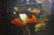 SAMUEL F B MORSE (USA 1791-1872) "GOLDFISH BOWL" - 14