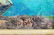 BEANIE BACKUS (USA 1906-1990) OIL PAINTING /CANVAS - 2
