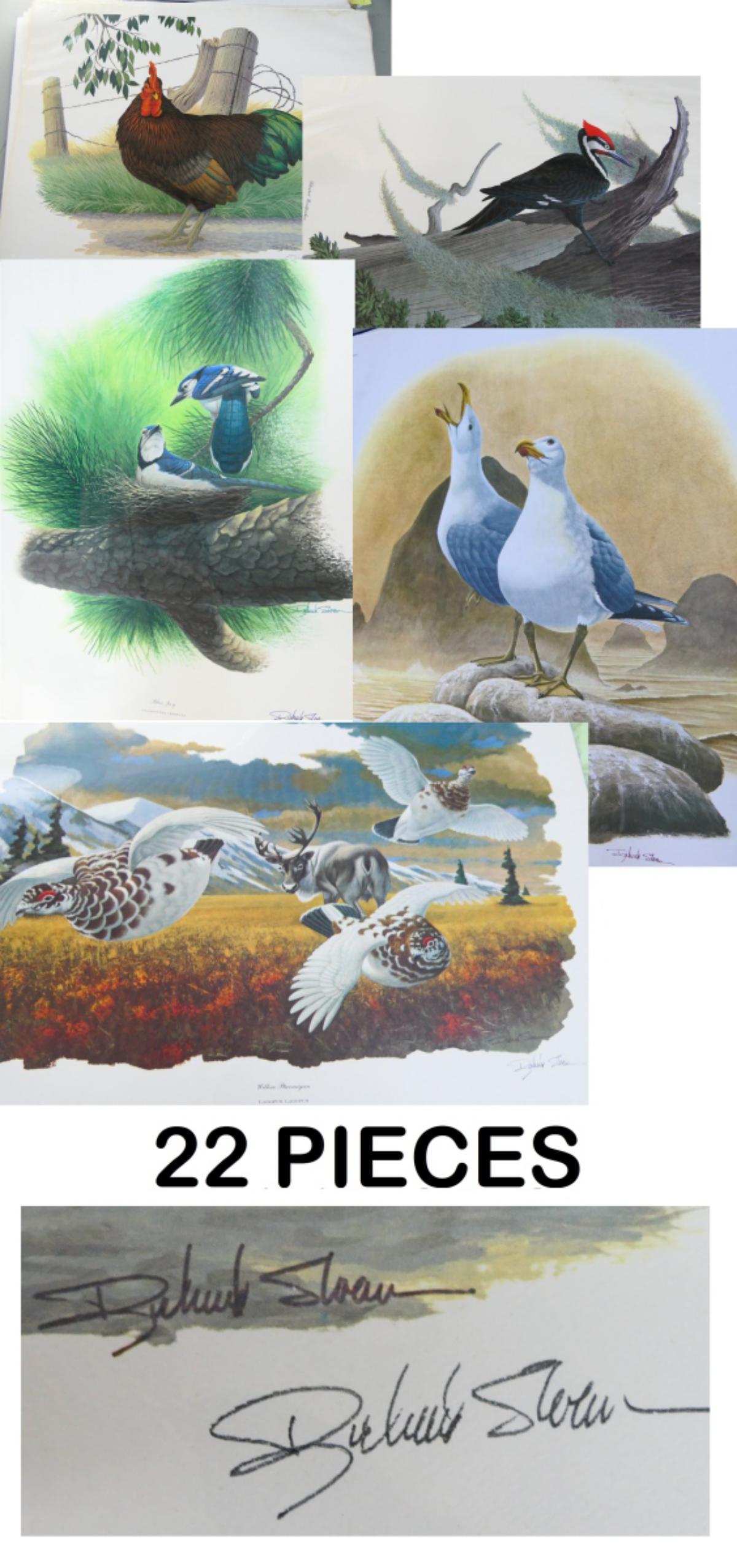 DAVID SLOAN (22) LARGE LITHOS OF BIRDS SIGNED: They measure 22" X 27 1/2" very well done, Big listed artist in the manner of Audubon . Note a few have slight water damage to edges frame will hide. They are in plastic , done in 1978.