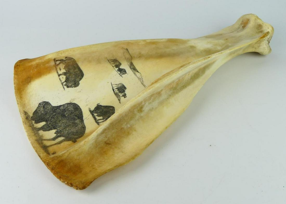 ANTIQUE WHALE JAW BONE SCRIMSHAW OF BISON: Antique genuine whale jaw bone scrimshaw depicting a herd on bison. Measures approx. 16" length x 8 1/4" width (40.6cm x 21cm).