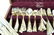 117pc HUGE GORHAM GREENBRIER 145ozt FLATWARE SET - 4