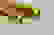 item-97570972=3