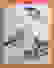 item-101165429=2