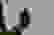 item-104350037=7