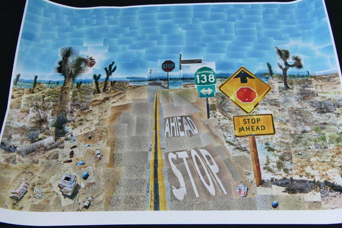DAVID HOCKNEY LITHOGRAPH HAND SIGNED (1 of 6)