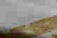 item-111342962=2