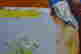 item-114134075=3