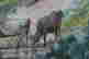 item-114134087=5
