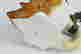 item-114134167=3