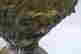 item-114599738=3