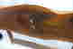 item-121838607=6