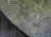 item-122391252=5